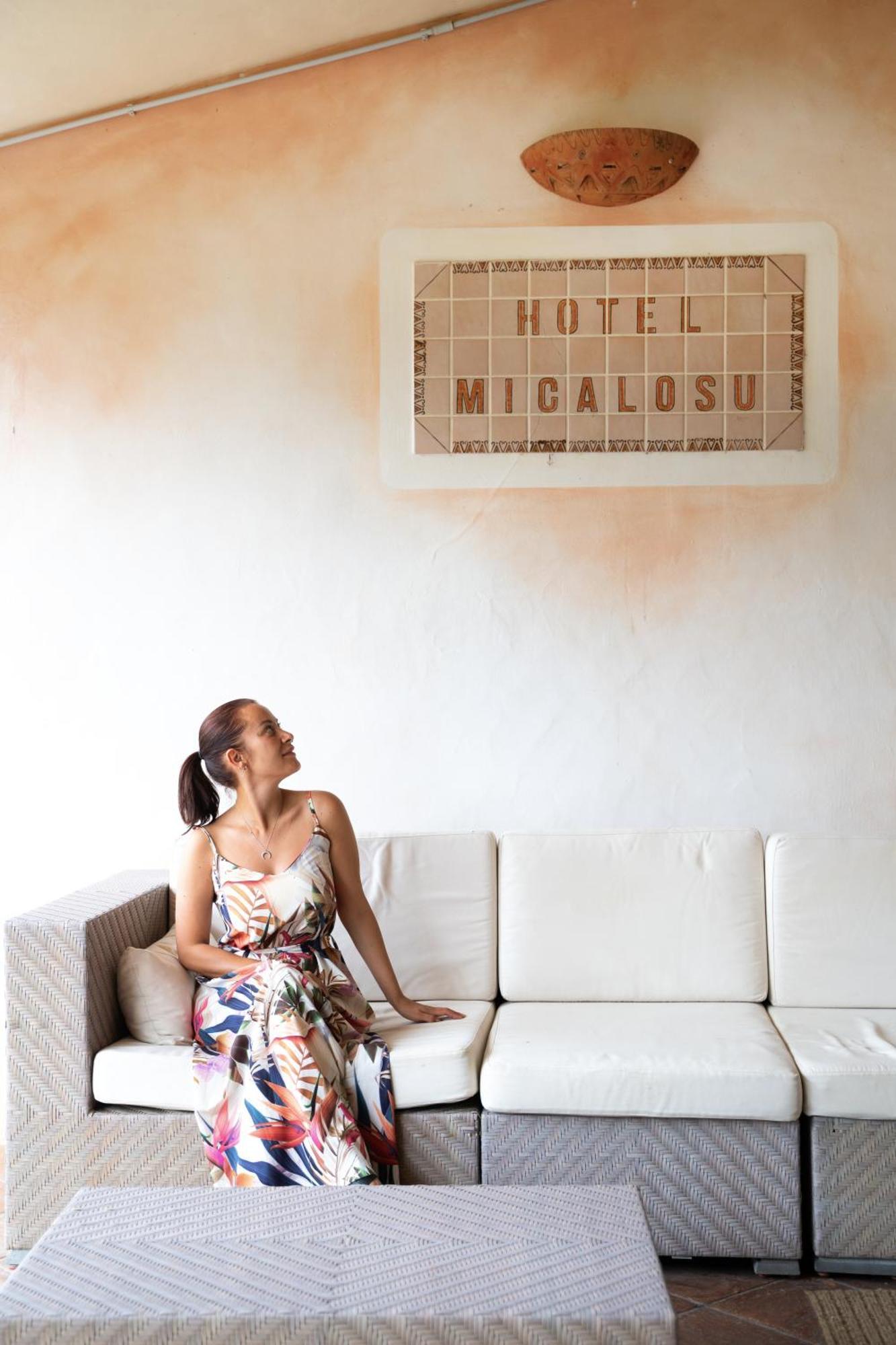 Hotel Micalosu 3*